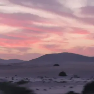 https://elcorralito.in-canary-islands.com